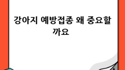 우리 댕댕이🐶 건강검진, 놓치면 후회! 꿀팁 대방출 ✨