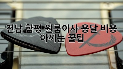 전남 함평 원룸이사, 용달 비용 아끼는 꿀팁🍯