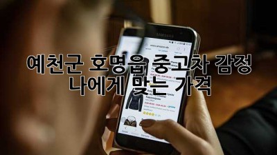 예천군 호명읍 중고차 감정 🚗 나에게 맞는 가격?