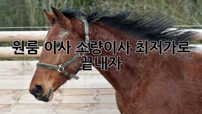원룸 이사? 소량이사 최저가로 끝내자!